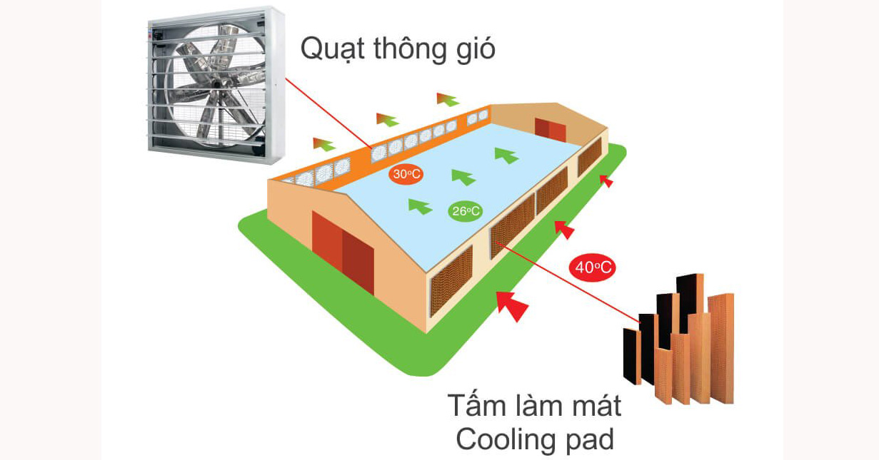 Giải Pháp Thông Gió Cho Nhà Xưởng Hiệu Quả