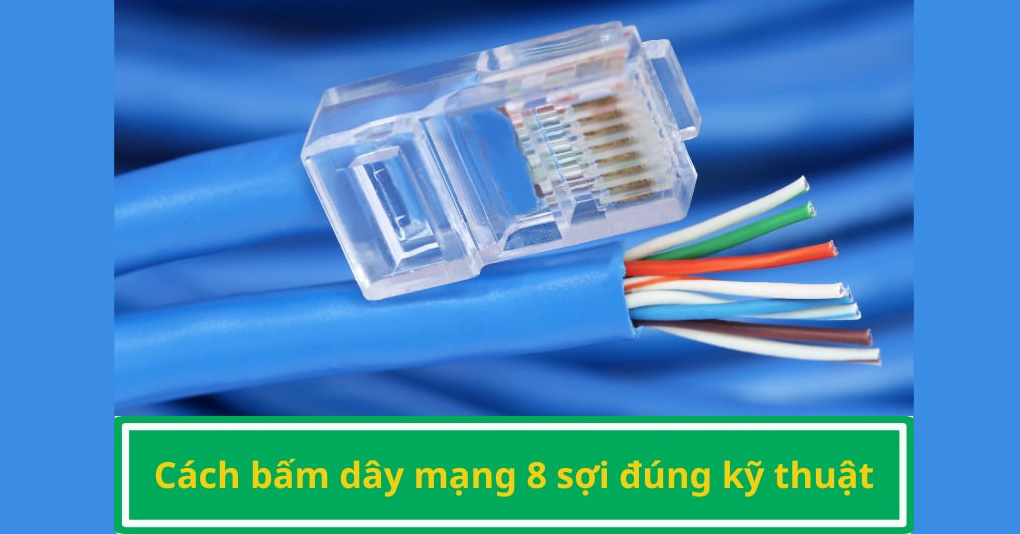 Hướng dẫn cách bấm dây mạng chuẩn và chính xác nhất