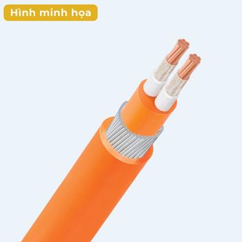 Cáp điện chậm cháy ruột đồng CXV/FRT LiOA 2 lõi CXV/FRT-2 LiOA