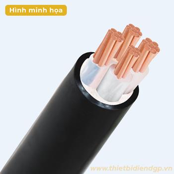 Cáp điện hạ thế ruột đồng CXV LiOA CXV-2R LiOA