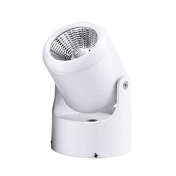 Đèn chiếu cảnh quang Ø65*75*H120, COB 10W, Ánh sáng trắng & vàng, vỏ trắng FN-269